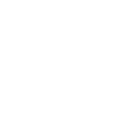 Custom Luthier Logo