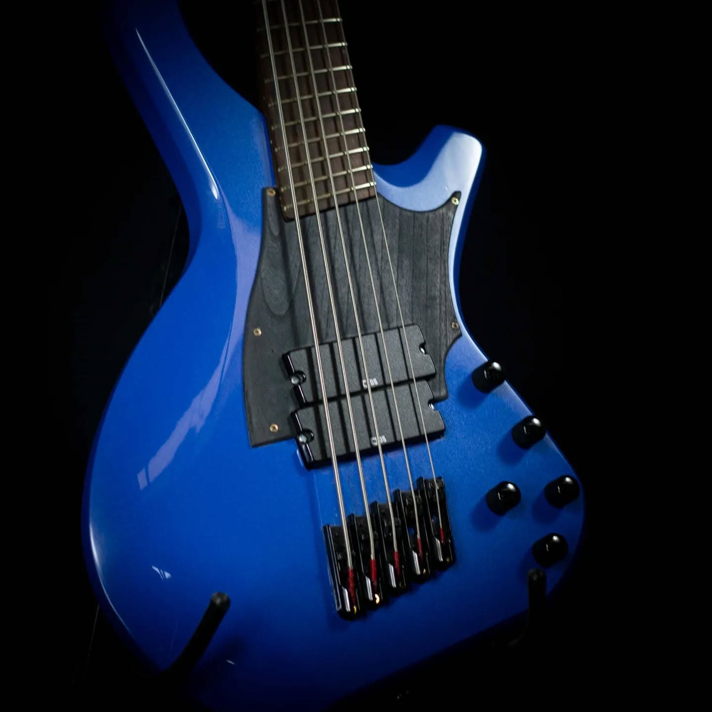 Newton series custom bass - Image 1