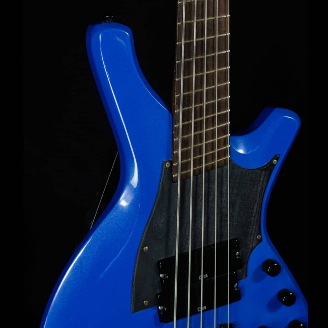 Newton series custom bass - Image 2